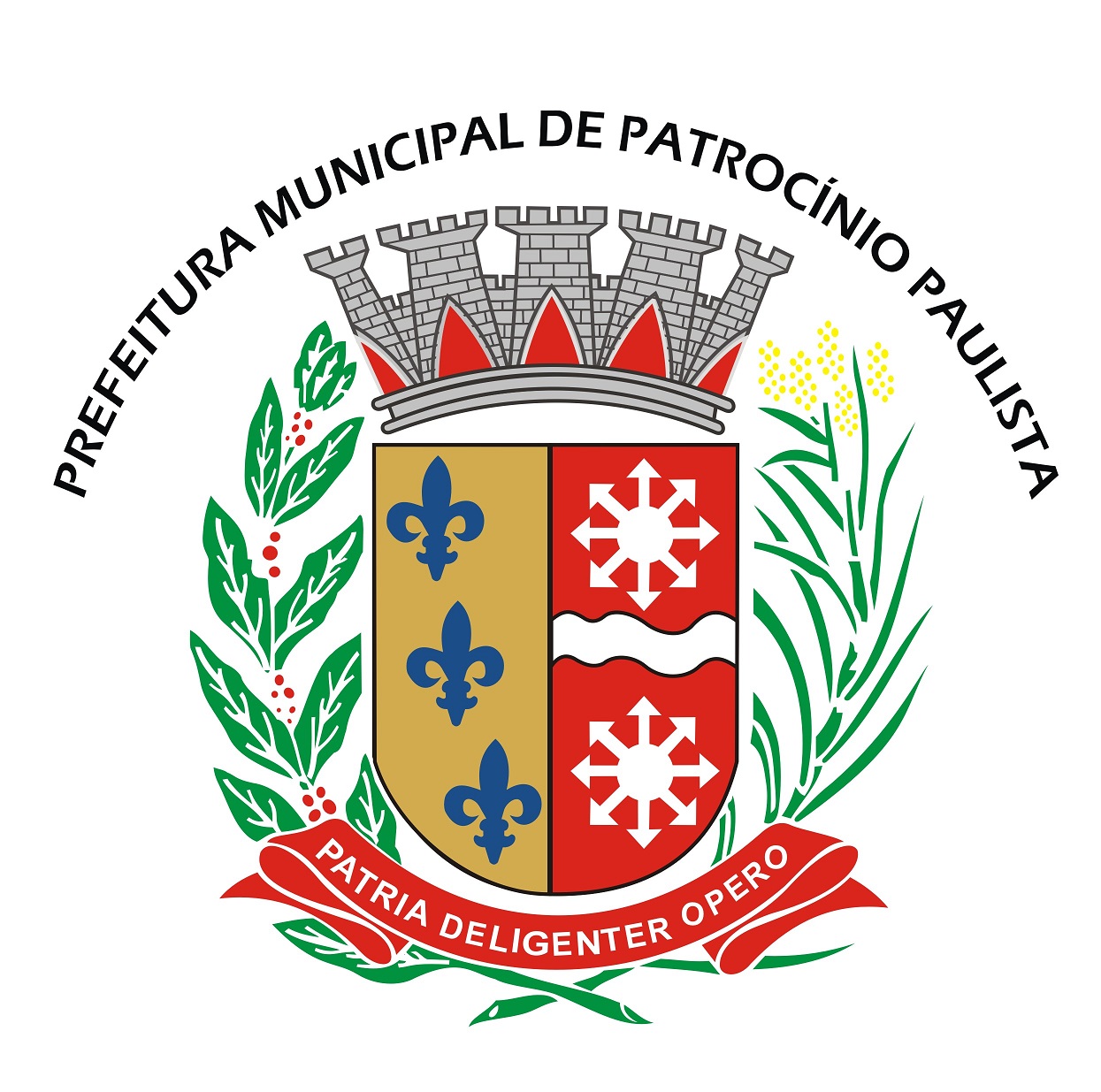 PREFEITURA MUNICIPAL DE PATROCINIO PAULISTA